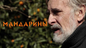 Мандарины
