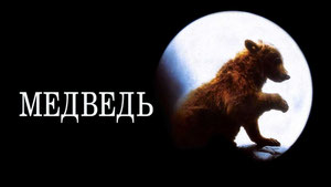 Медведь
