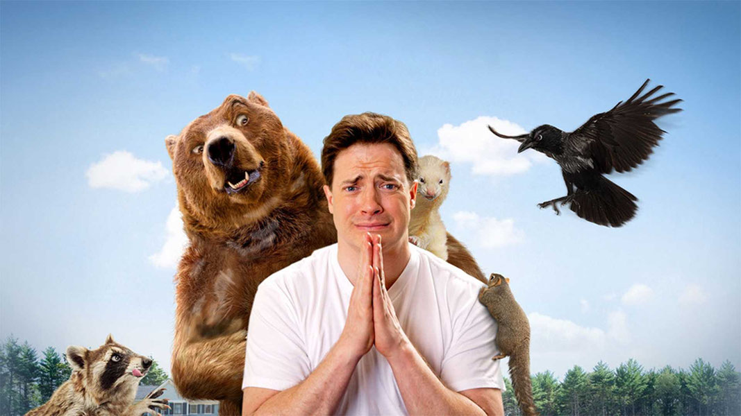 Месть пушистых