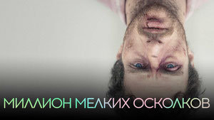 Миллион мелких осколков