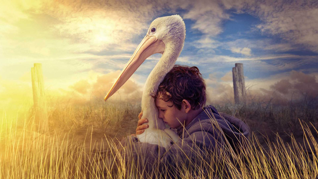 Мой друг мистер Персиваль