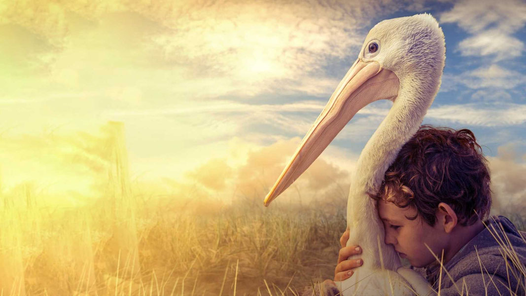 Мой друг мистер Персиваль