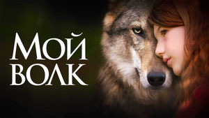 Мой волк