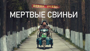Мёртвые свиньи
