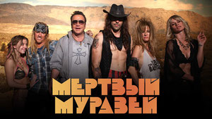 Мёртвый муравей