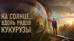 На солнце, вдоль рядов кукурузы