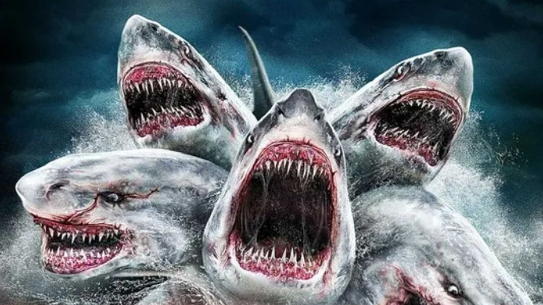 Нападение шестиглавой акулы