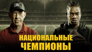 Национальные чемпионы