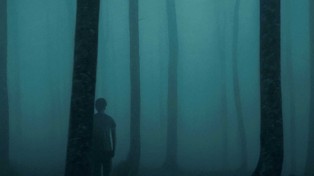 Неспокойной ночи