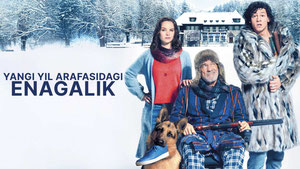 Yangi yil arafasidagi enagalik