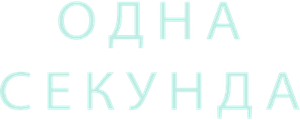 Одна секунда