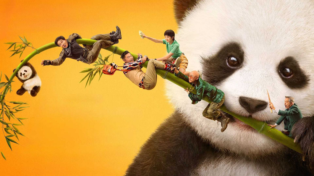 Операция «Панда»