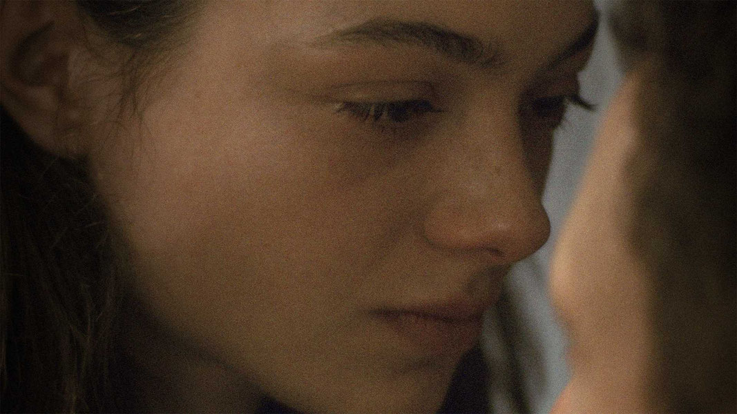 Пальмы и линии электропередач