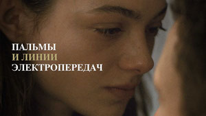 Пальмы и линии электропередач