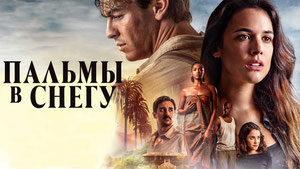 Пальмы в снегу