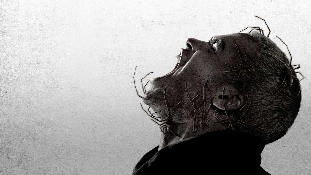 Паутина страха