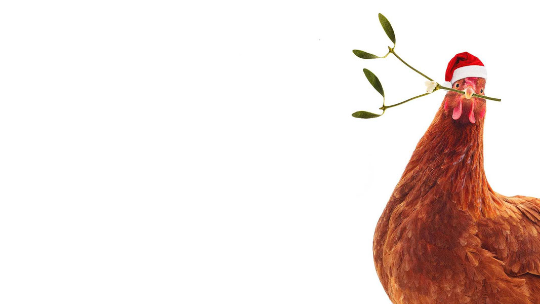 Пернатое Рождество