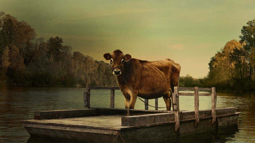 Первая корова