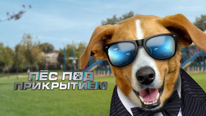 Пес под прикрытием