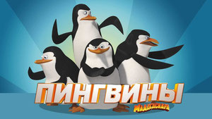 Пингвины Мадагаскара