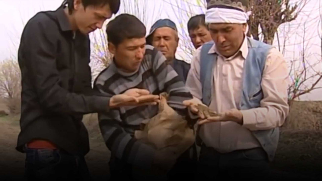 Плохая похоть