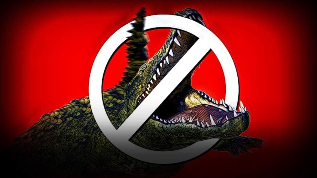 Плохо нарисованный аллигатор