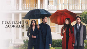 Под одним дождём