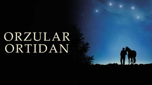 Поймать мечту