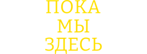 Пока мы здесь