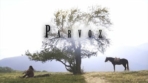 Parvoz