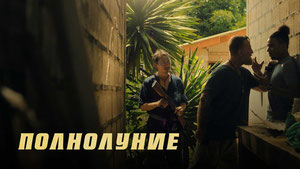 Полнолуние