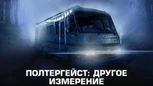 Полтергейст: Другое измерение