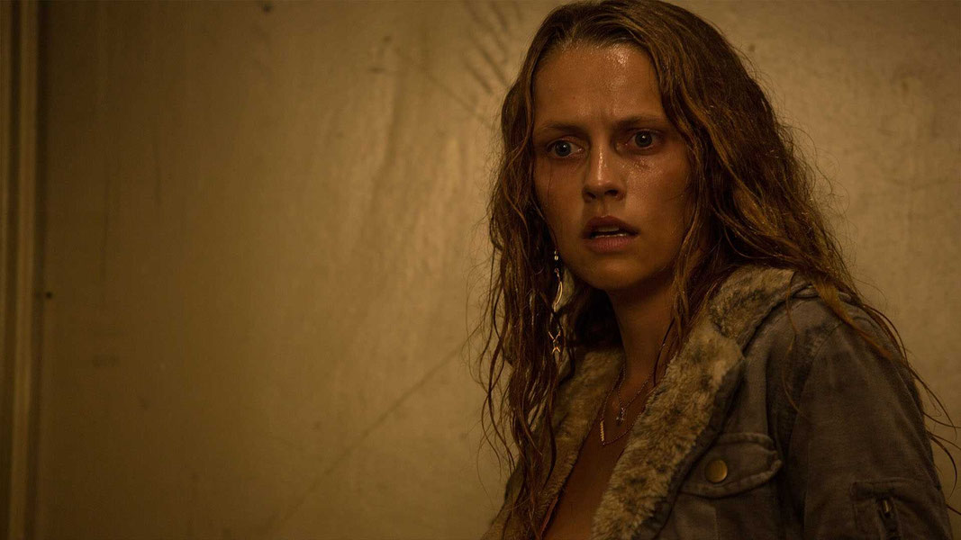 Послание от Кинга