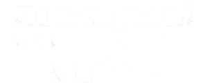 Последний из нас