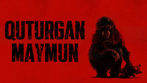 Quturgan maymun