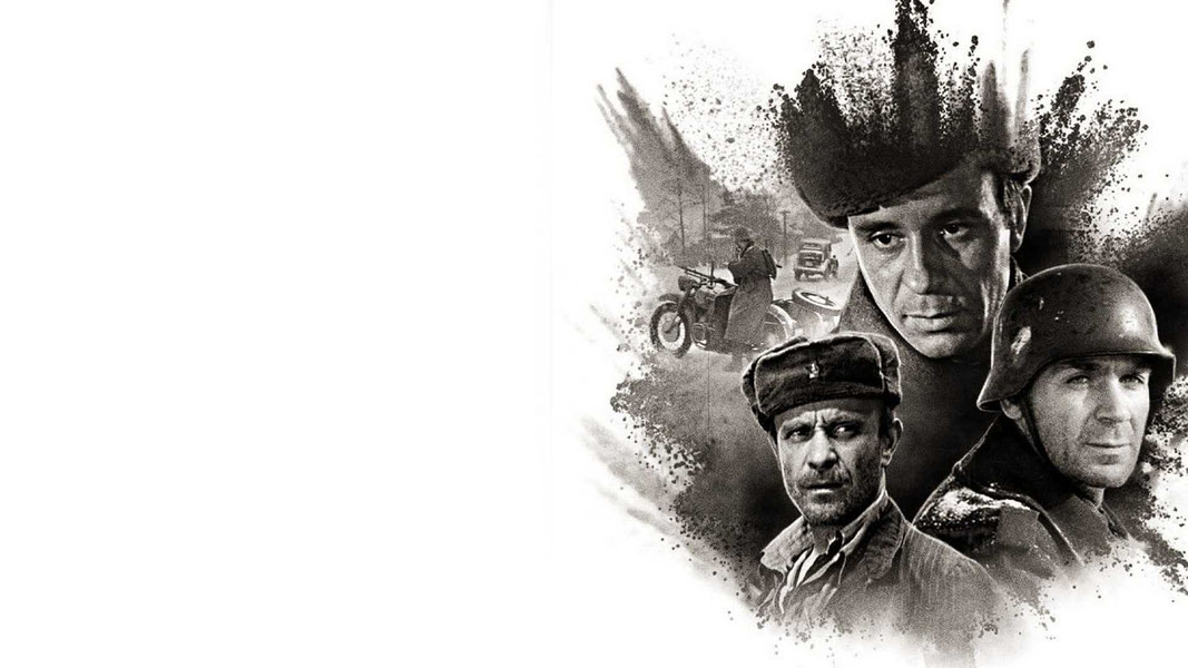 Проверка на дорогах