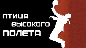 Птица высокого полёта