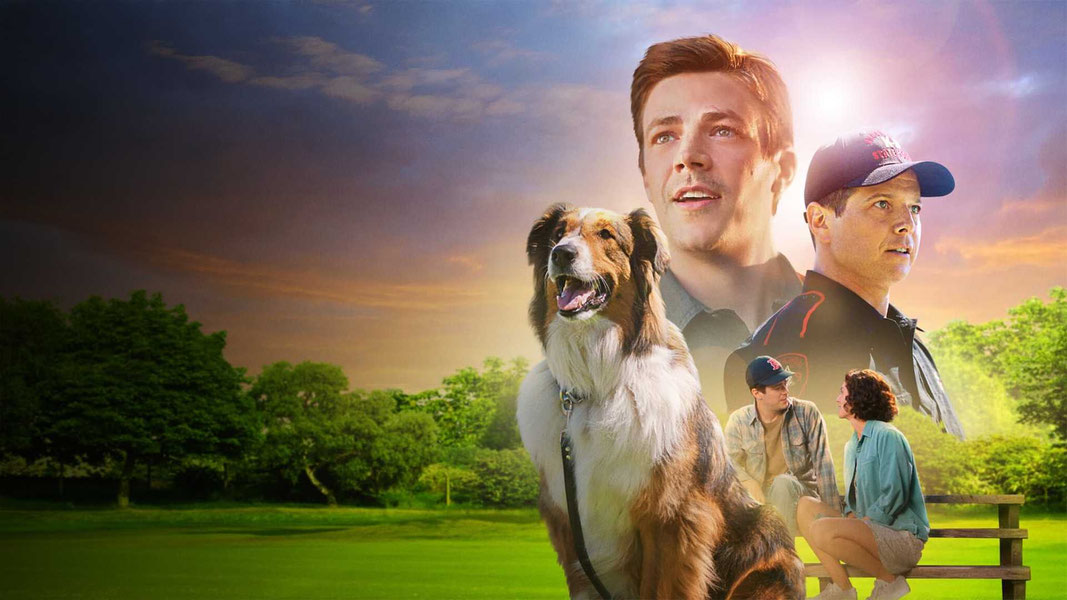 Руби, собака-спасатель