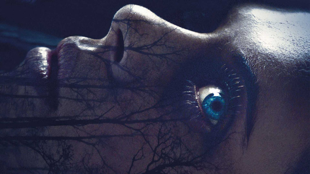 Сага о чудовище. Сумерки