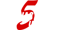 Счастливое число 5
