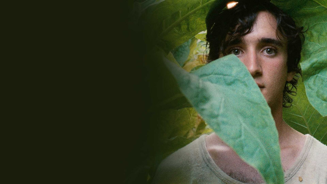 Счастливый Лазарь