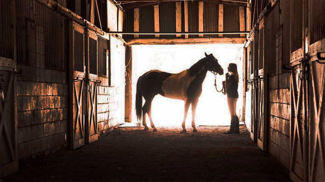 Сердце чемпиона