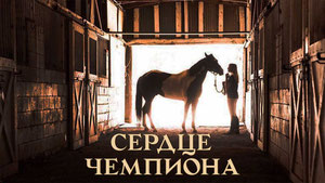 Сердце чемпиона