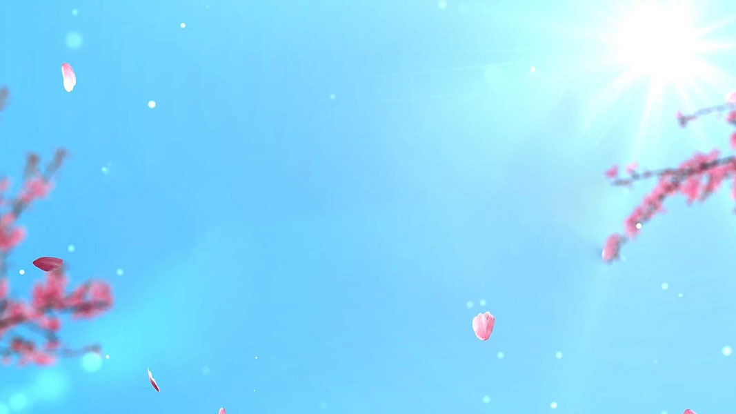 Sevimlida Fayzli Navro'z 2026