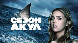 Сезон акул