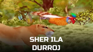 Шер ила Дуррож