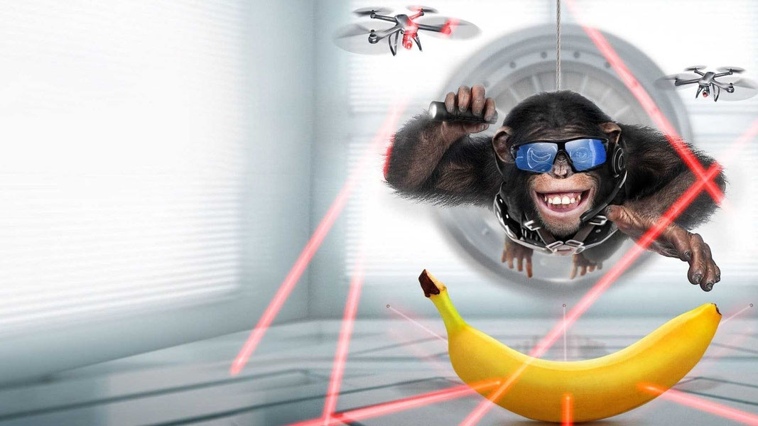 Шимпанзе под прикрытием