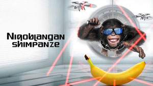 Шимпанзе под прикрытием