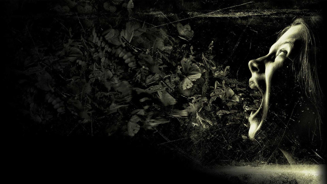 Шкатулка проклятия