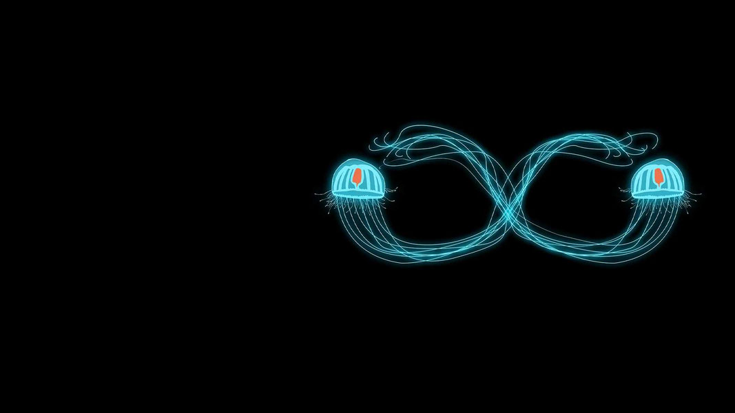 Штамм химеры